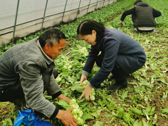 采購貧困地區(qū)農(nóng)副產(chǎn)品，響應(yīng)消費(fèi)扶貧政策